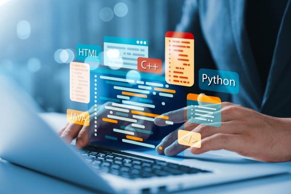 From Concept to Code: The Art of Software Development